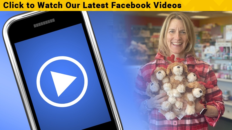 view our facebook videos (opens in a new tab)