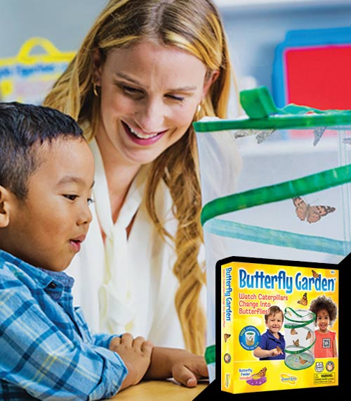 Butterfly Garden