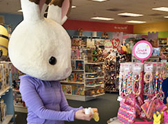 Spring & Easter Toys at the Toy Box of Hanover
